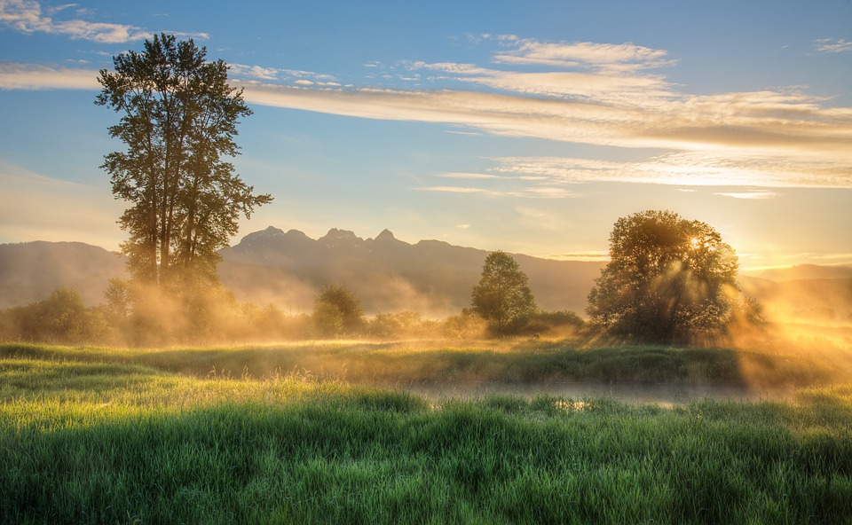 Får du brugt naturen nok?